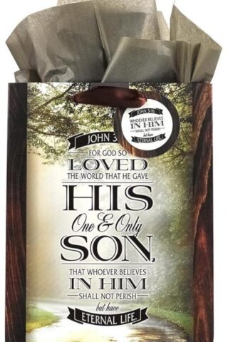 6006937127555 John 3:16 Gift Bag