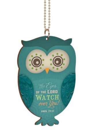 656200138434 Owl Car Charm