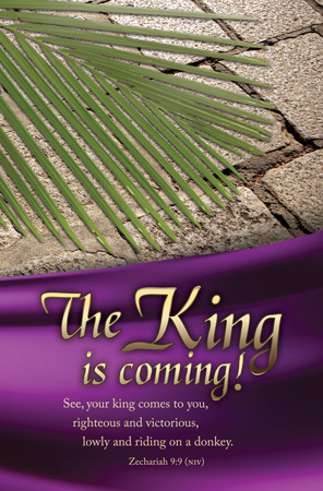 730817351643 Palm Sunday The King Is Coming