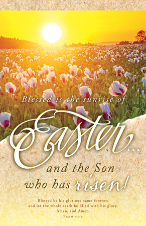 730817351681 Easter And The Son