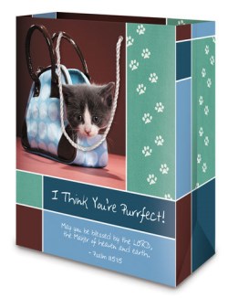 759830199377 Everyday Youre Purrfect Gift Bag