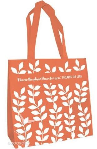 759830250290 I Know The Plans Eco Tote