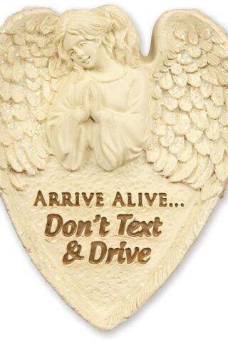 798890157521 Arrive Alive Dont Text And Drive Visor Clip