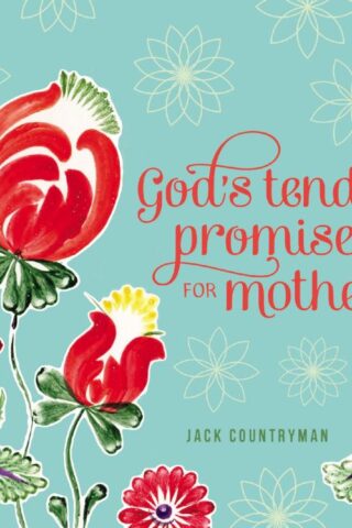 9780529104960 Gods Tender Promises For Mothers