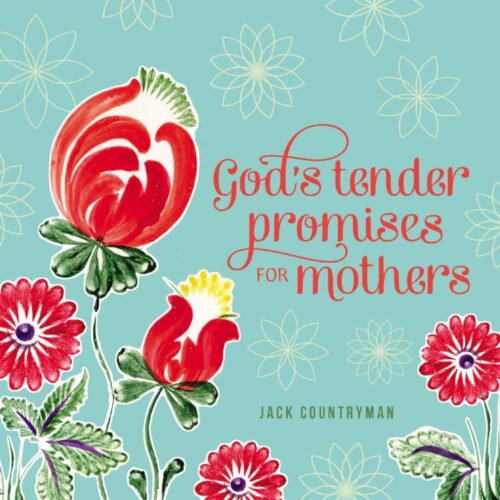 9780529104960 Gods Tender Promises For Mothers