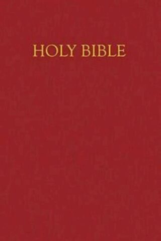 9780687332458 Childrens Bible Gift And Award Edition