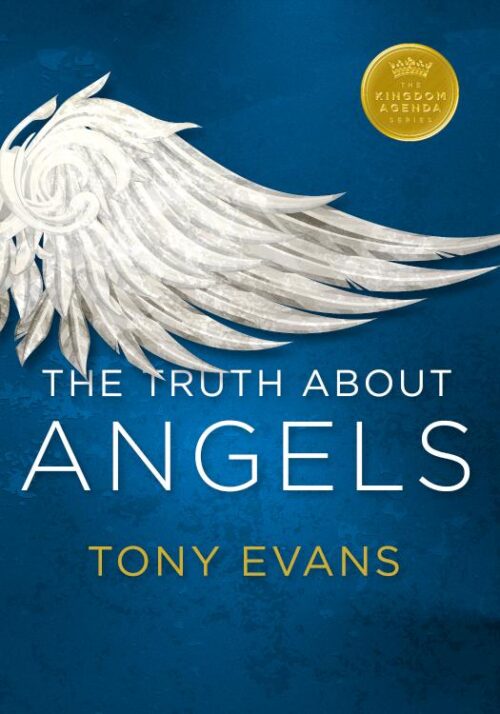 9780802414328 Truth About Angels