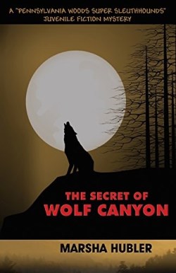 9780982577318 Secret Of Wolf Canyon