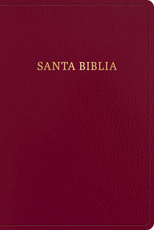 9781430091998 Giant Print Bible