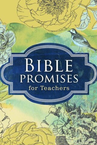 9781433679698 Bible Promises For Teachers