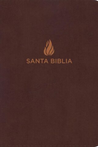 9781462791491 Giant Print Bible