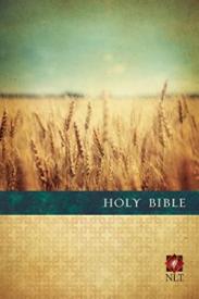 9781496413857 Premium Value Slimline Bible Large Print