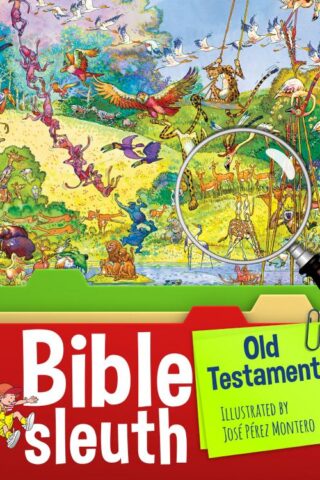 9781496422446 Bible Sleuth Old Testament