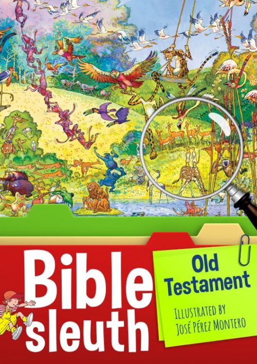 9781496422446 Bible Sleuth Old Testament