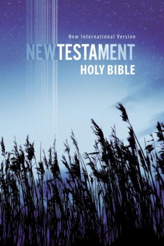 9781563205781 Outreach Bible New Testament