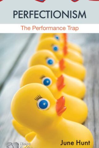 9781596369214 Perfectionism : The Performance Trap