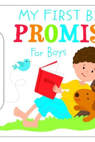 9781683224082 My First Bible Promises For Boys