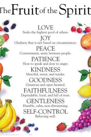 9781890947804 Fruit Of The Spirit Wall Chart Laminated