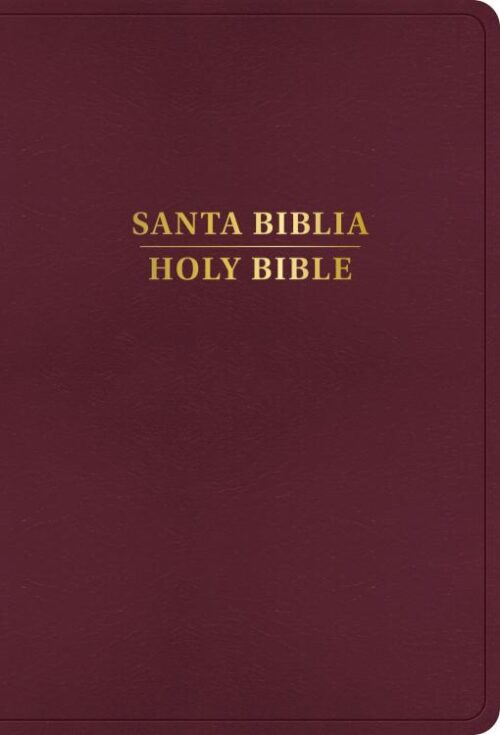 9798384500544 RVR 1960 KJV Bilingual Bible Large Print