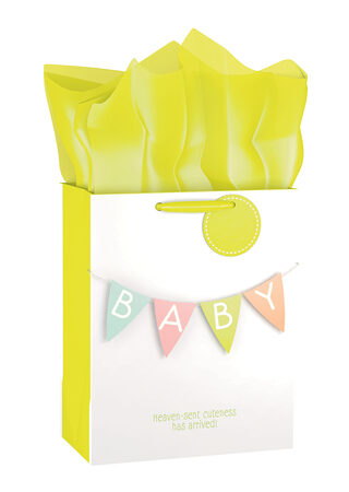 081983570797 Baby Neutral Specialty Gift Bag