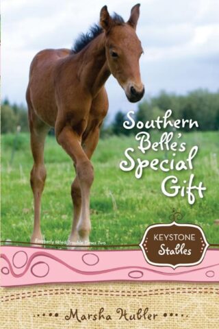 9780310717942 Southern Belles Special Gift