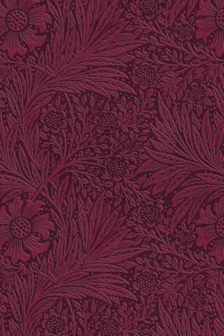 9798874903350 Value Thinline Bible