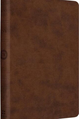 9798874902780 Value Compact Bible