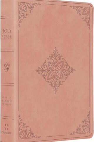 9798874903077 Value Large Print Compact Bible
