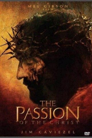 850028052143 Passion Of The Christ (DVD)