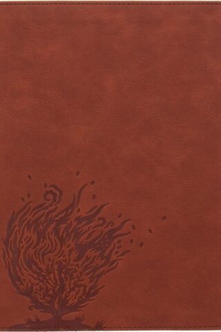 9781087714189 Experiencing God Bible