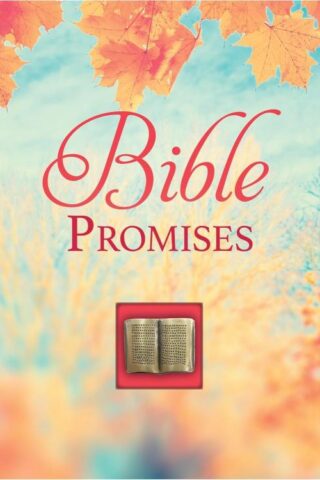 9781639386277 Bible Promises (Large Type)