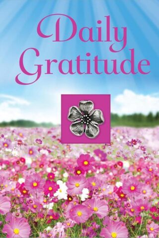 9781680221428 Daily Gratitude