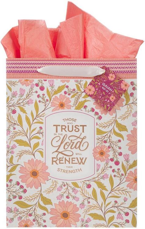 1220000721708 Large Portrait Inspirational Scripture Gift Bag