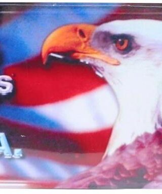 788200876549 God Bless USA Auto Tag