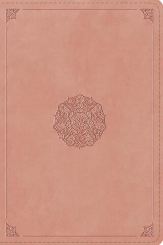 9798874907556 Compact Bible