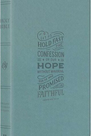 9798874909031 Large Print Value Thinline Bible