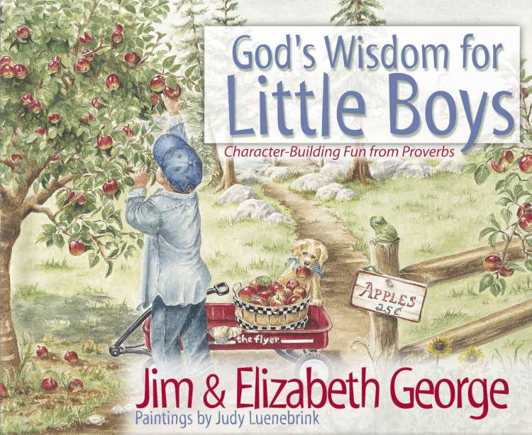 9780736908245 Gods Wisdom For Little Boys