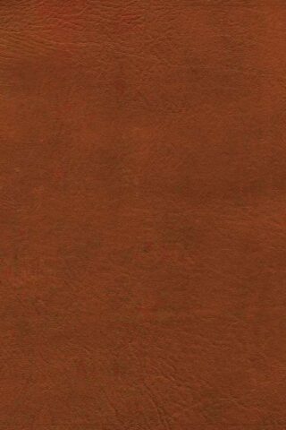 9798384540366 NASB Study Bible