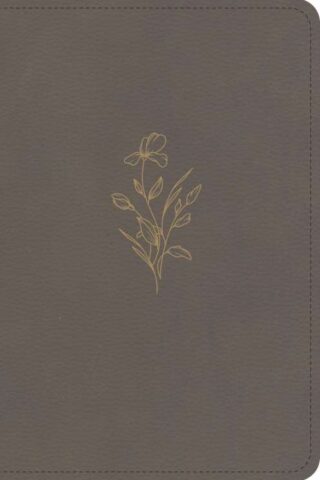 9798384546122 KJV Large Print Compact Reference Bible
