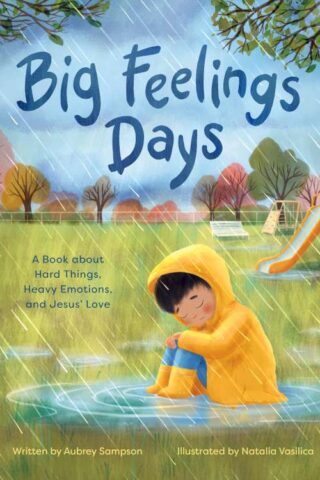 9781641586894 Big Feelings Days