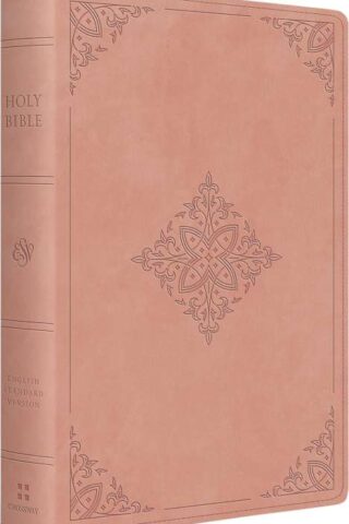 9798874906320 Giant Print Bible