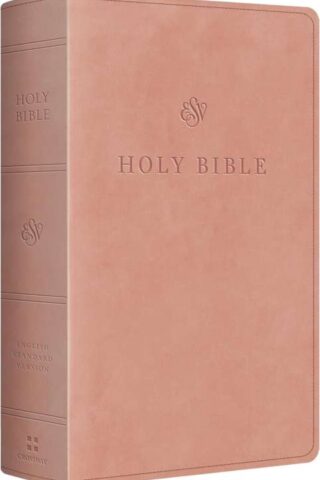 9798874906641 Giant Print Personal Size Bible