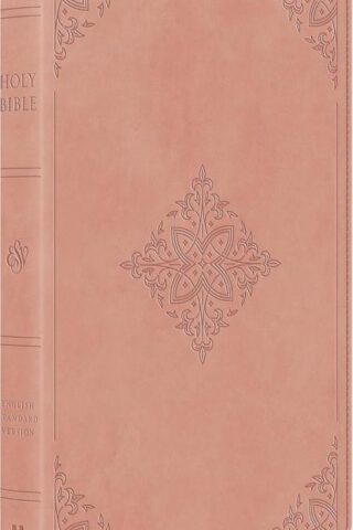 9798874907839 Large Print Value Thinline Bible